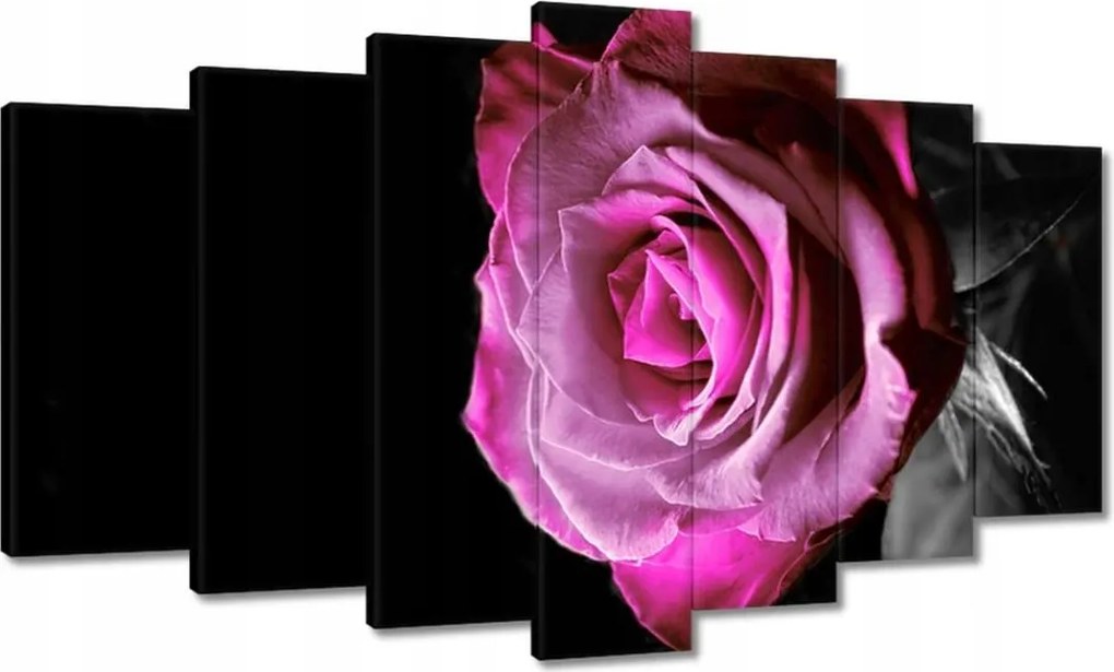 Vászonkép 140x80 Lila rózsa