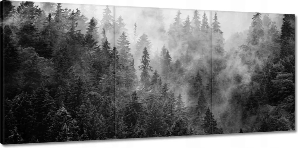 Vászonkép 150x70 Tájkép Szürke Hegyek Köd