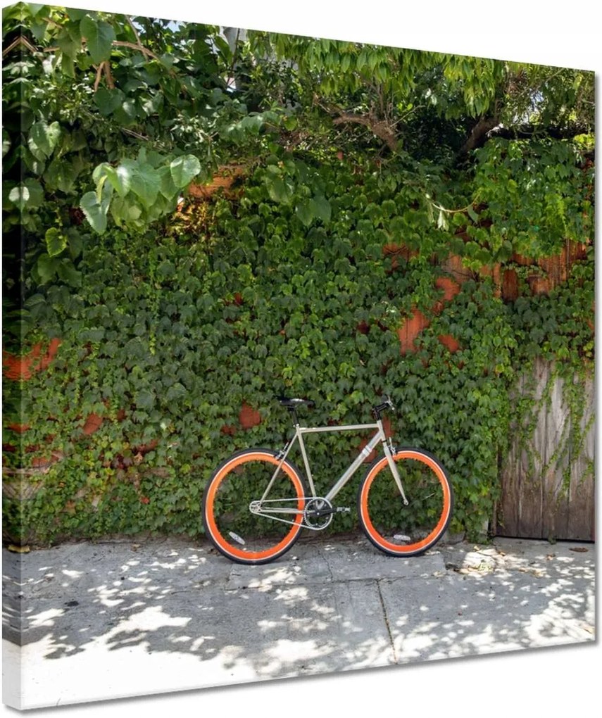 Vászonkép 30x30 Kerékpárok Két kerék