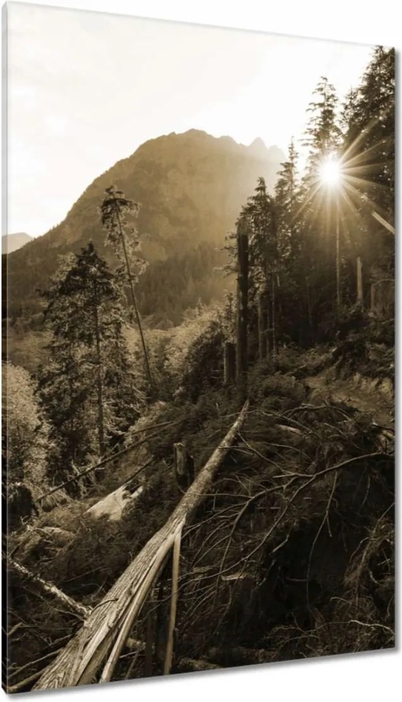 Vászonkép 80x120 Szépia tájkép Szépia