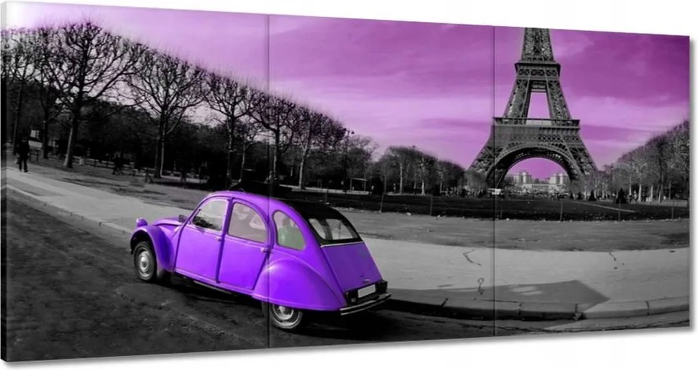 Vászonkép 120x60 Lila Citroen