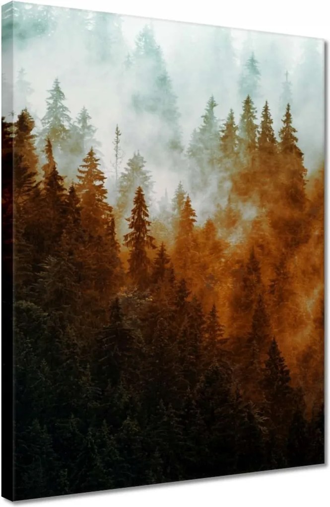 Vászonkép 30x40 Őszi táj Hegyek