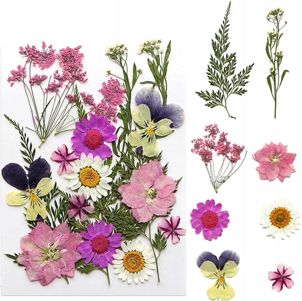 Természetes Szárított Préselt Virágok Keverék Szárított Gyanta Levelek Diy