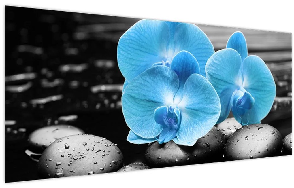 Kép - Kék orchidea (120x50 cm)