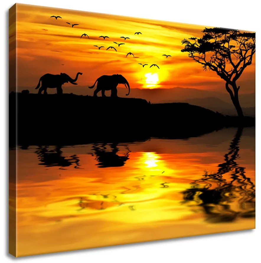 Gario Vászonkép Afrika Méret: 100 x 40 cm