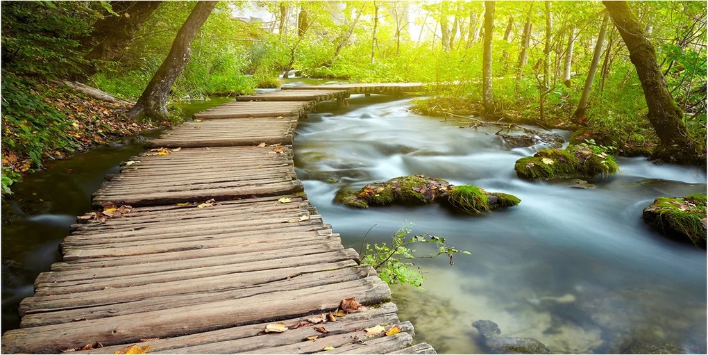 Fotó üvegkép Ösvény a folyóparton 140x70