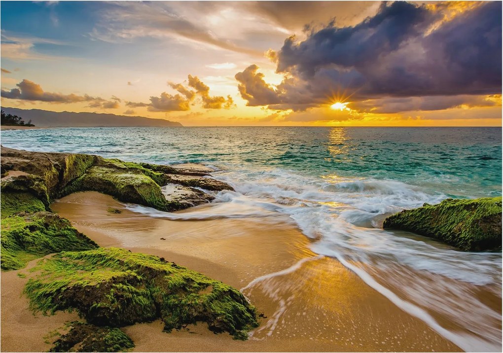 Divatos Flizelin Tapéta Ragasztóval Fali 3D Tengeri harmónia 312x219 Ragasztó