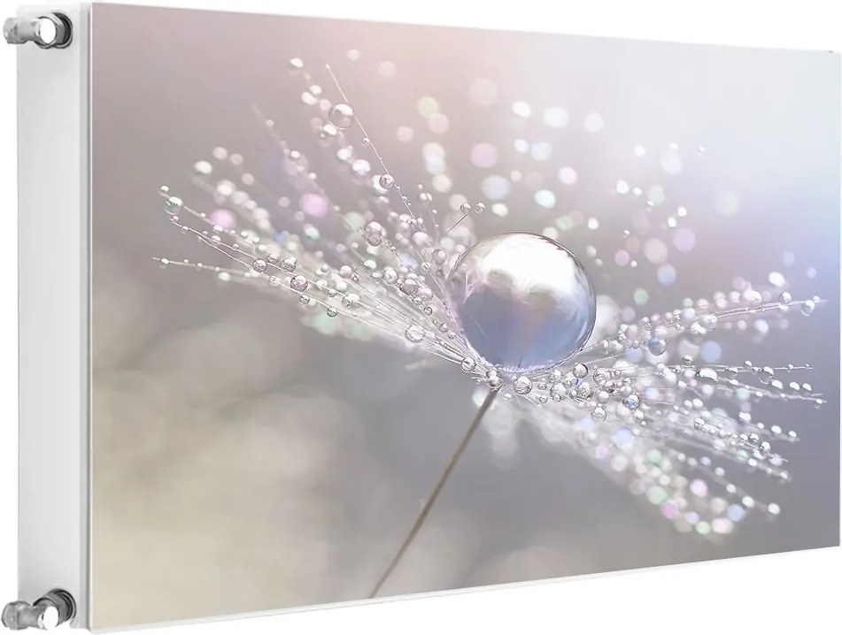 Radiátormágnes Radiátor 80x60 Virágok Fotótapéta