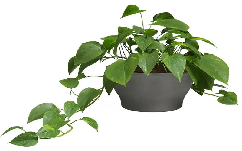 Terrakotta virágcserép ø 23 cm Saramago – Artevasi
