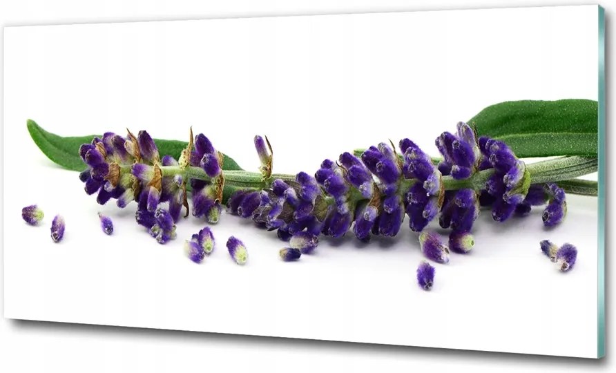 Fotótapéta falra edzett üveg Levendula 100x70