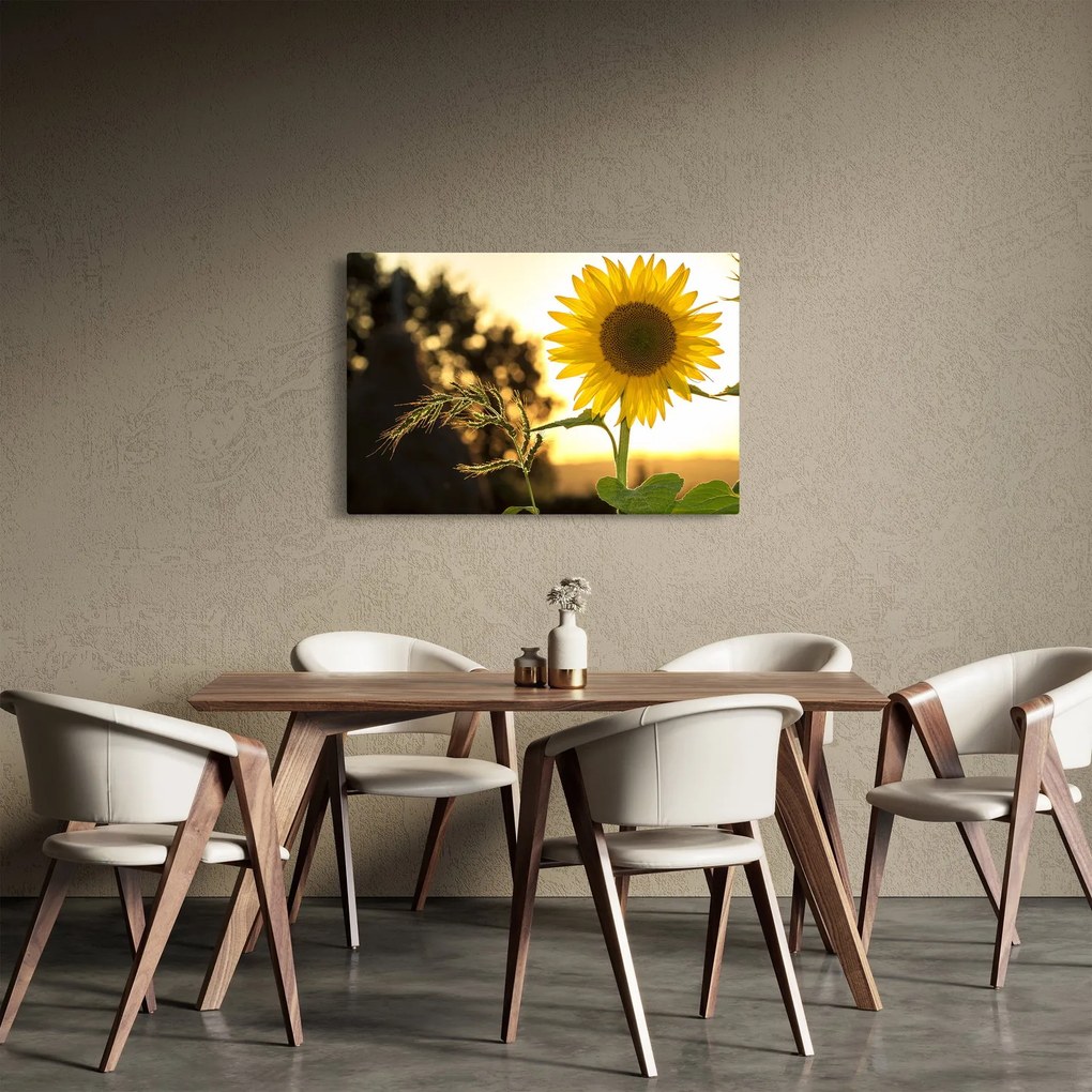 Napraforgó képe (90x60 cm)