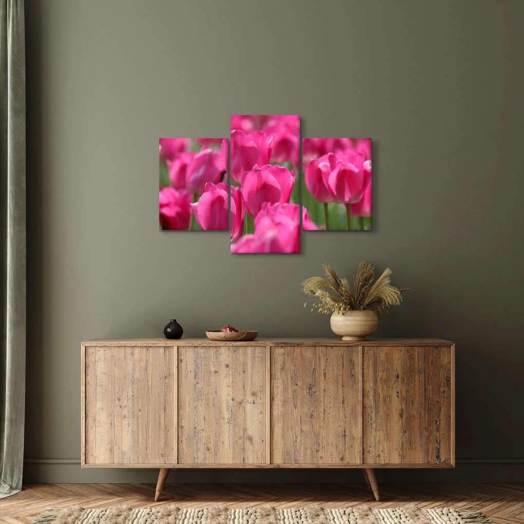 Kép - Rózsaszín tulipánok (90x60 cm)