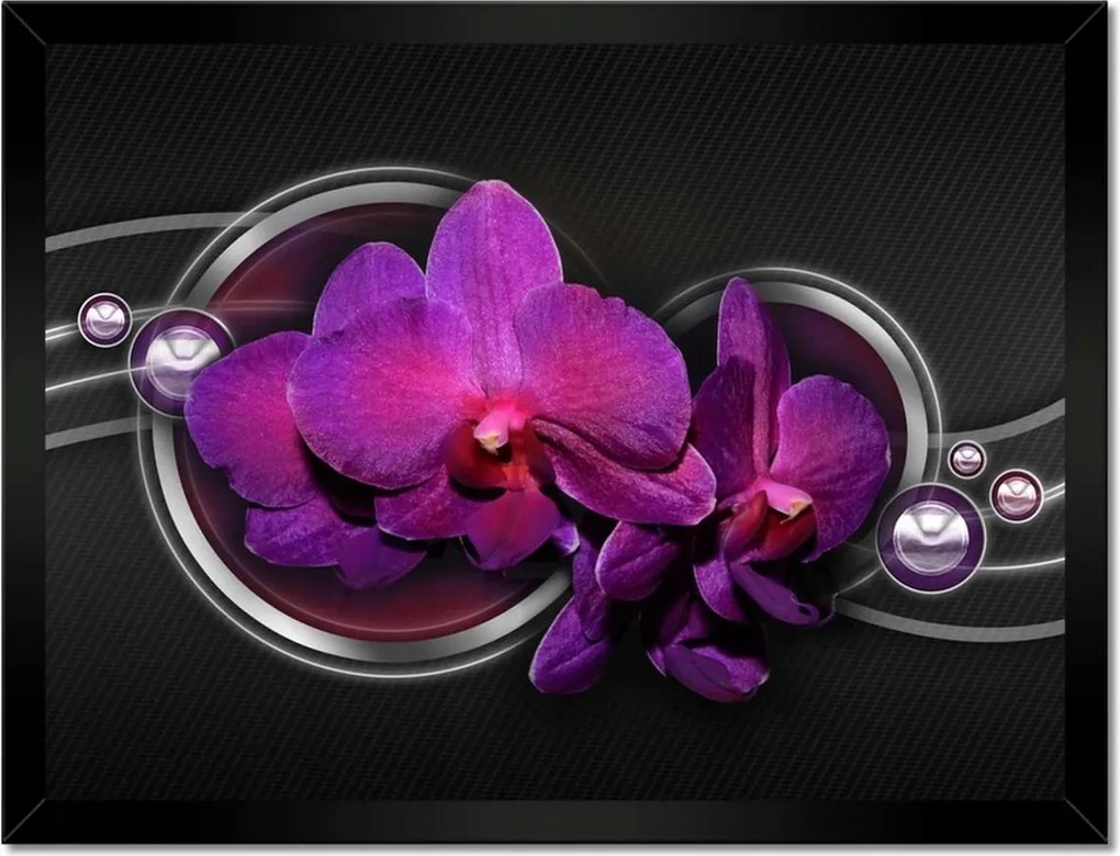 Poszterek keretben 40x30 Lila leander