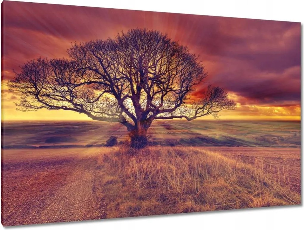 Festmények 120x80 Fa