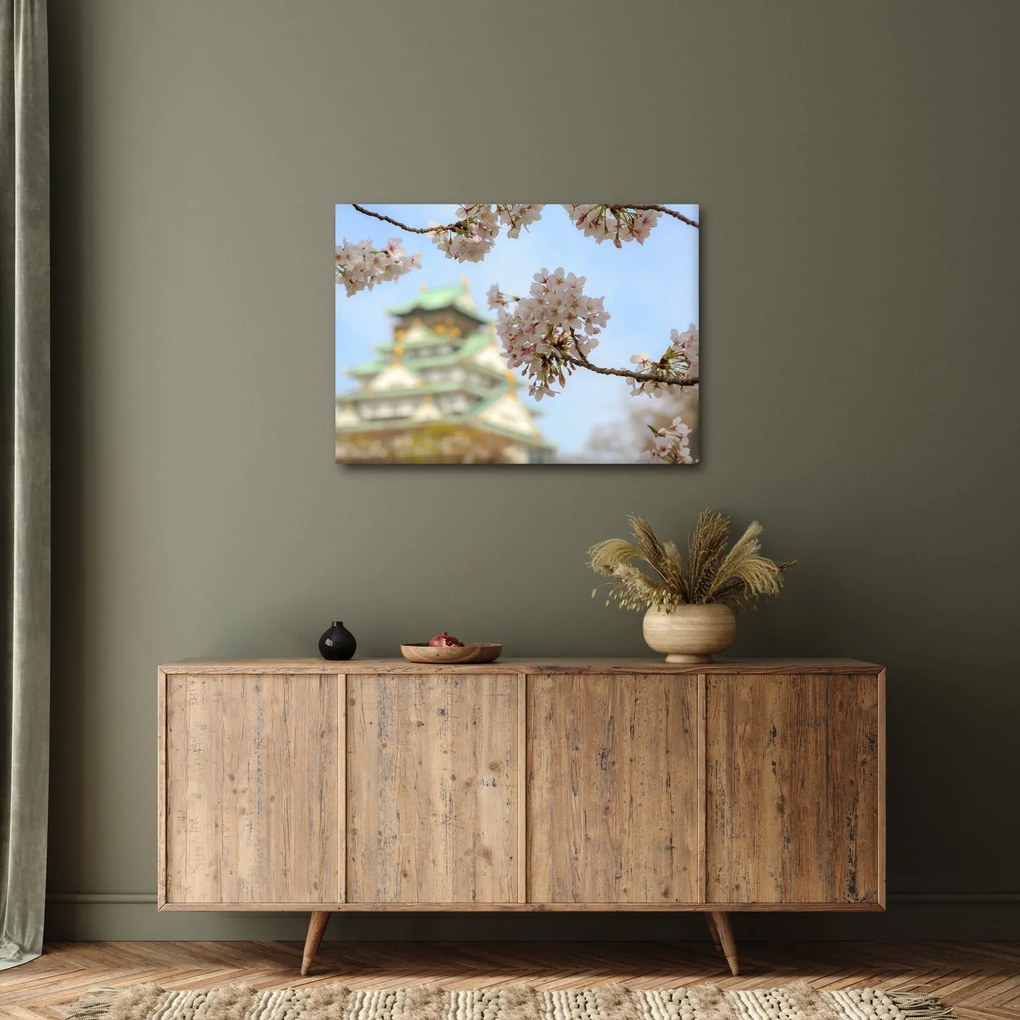 Kép - Sakura (70x50 cm)