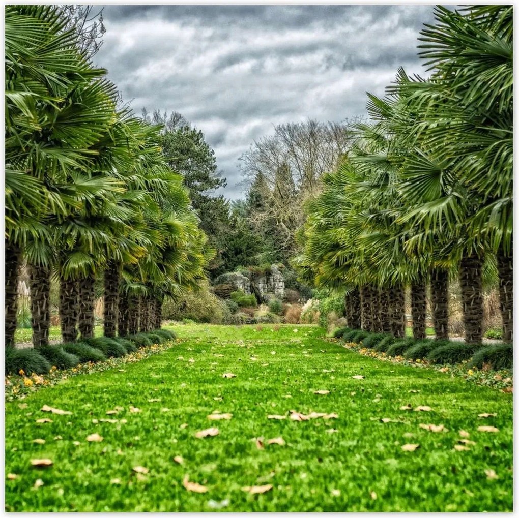 Poszterek 70x70 Tájkép