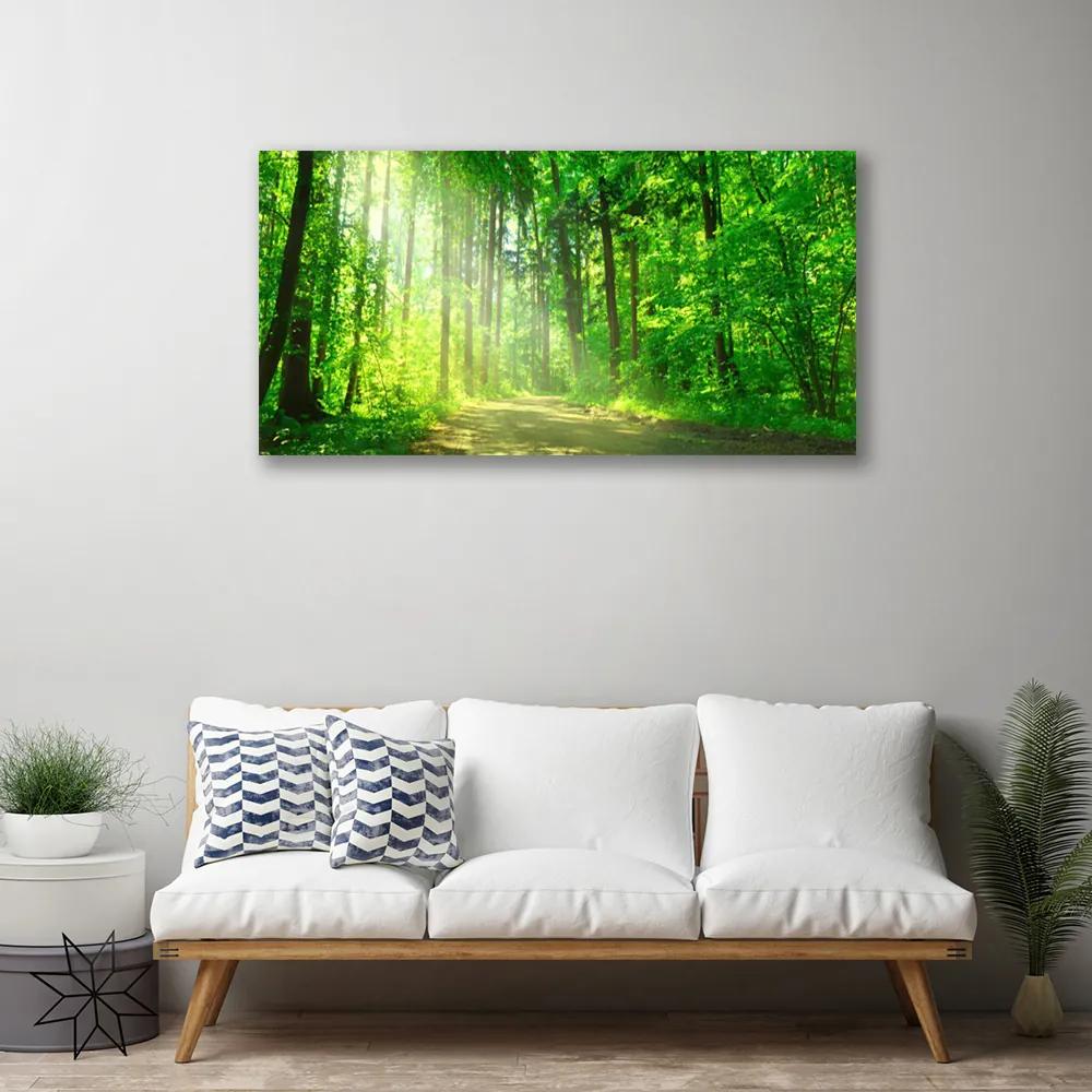 Vászonkép Forest sáv fák természet 100x50 cm