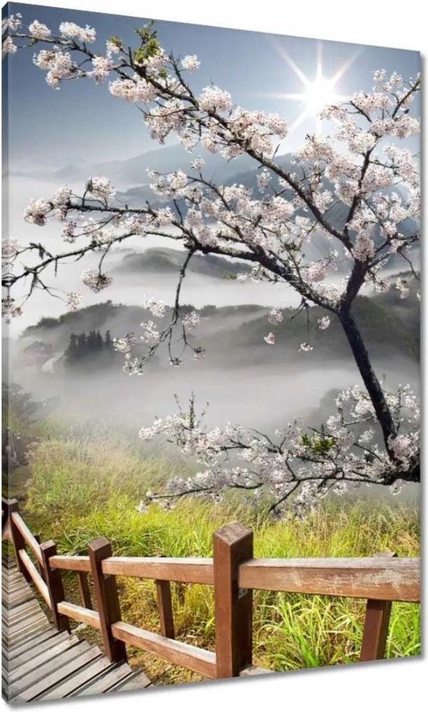 Vászonkép 70x100 Japán Virágzó cseresznye