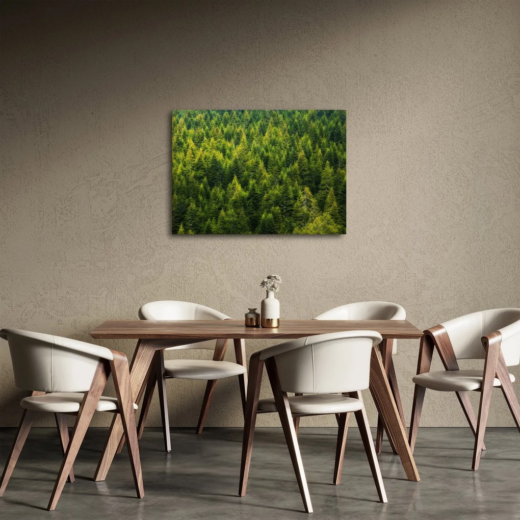 Kép - sűrű erdő (70x50 cm)