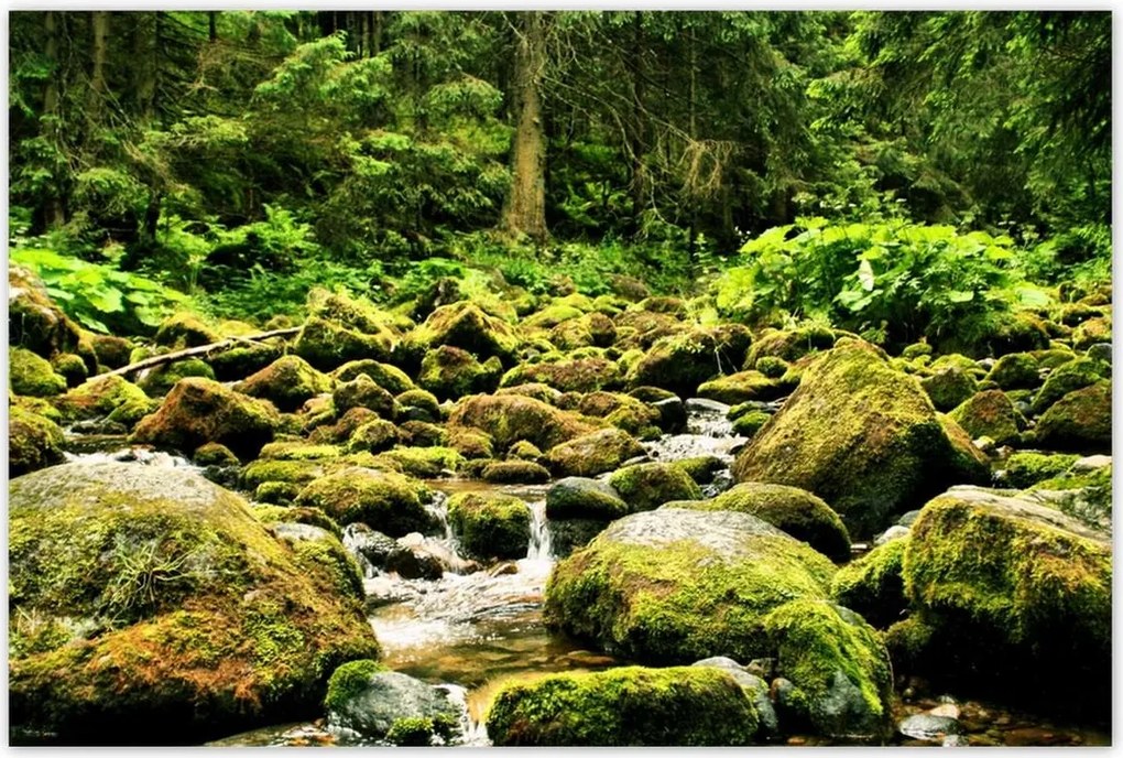 Poszterek 120x80 Tátra Lengyel hegyek Kilátás