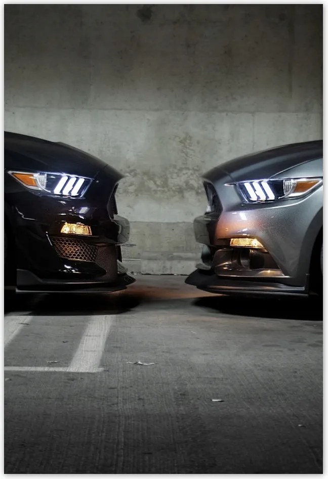 Poszterek 135x200 Face to face Mustang