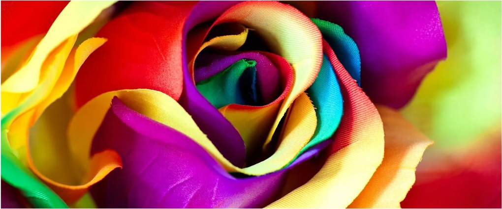 Kép - Színes rózsa (120x50 cm)