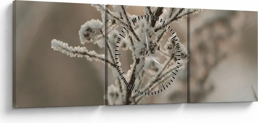 Kép - Növény fagyban (órával) (90x30 cm)