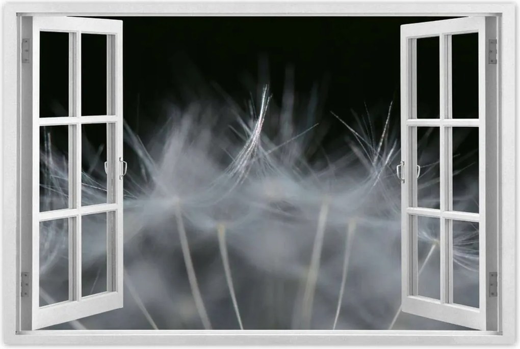 Poszterek 90x60 Pitypang Virág Virágok