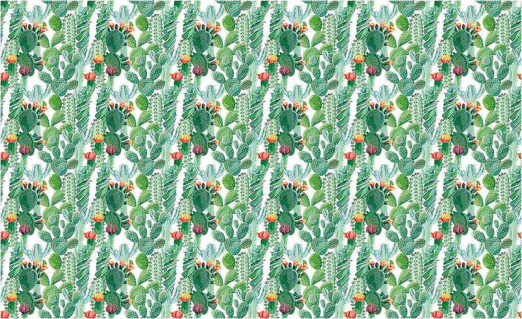 Fotótapéta Kaktuszok egzotikus vinil 254x184 Boho elegancia trópusi akcentus +ragasztó