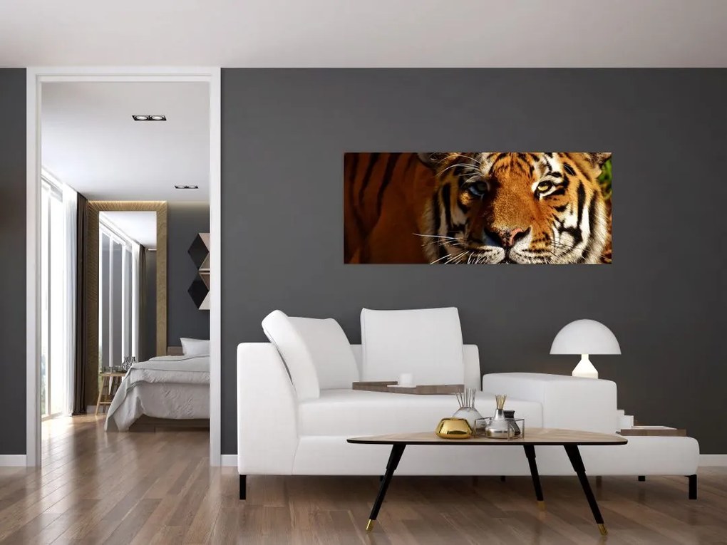 Tigris képe (120x50 cm)