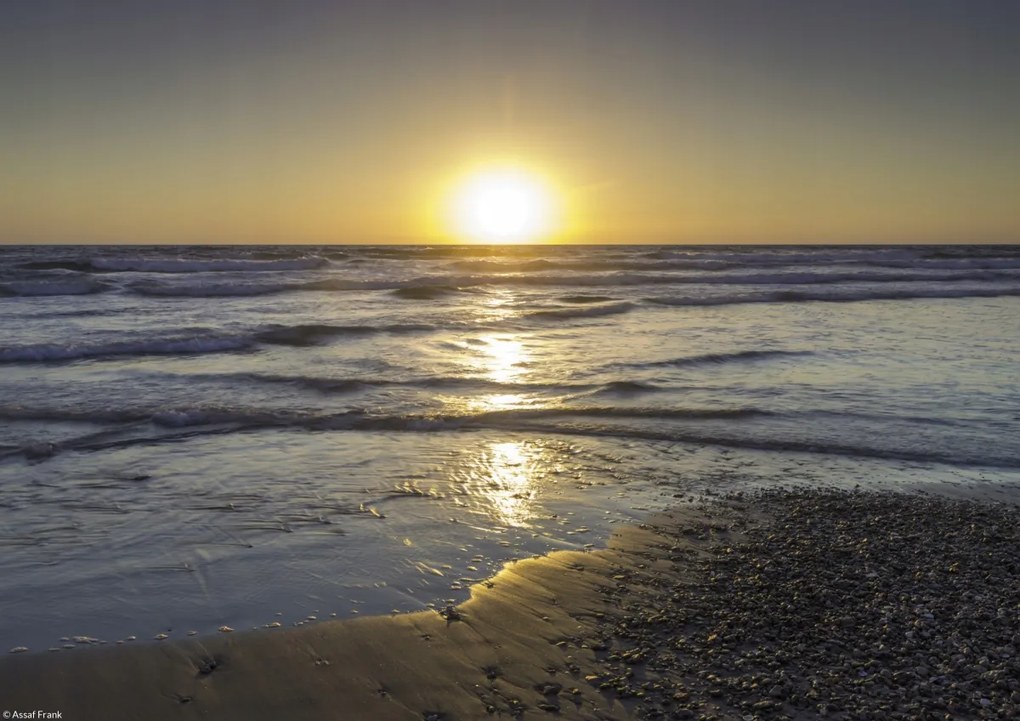 Poszter 29,7x21cm Csendes naplemente a tengerparton, Assaf Frank