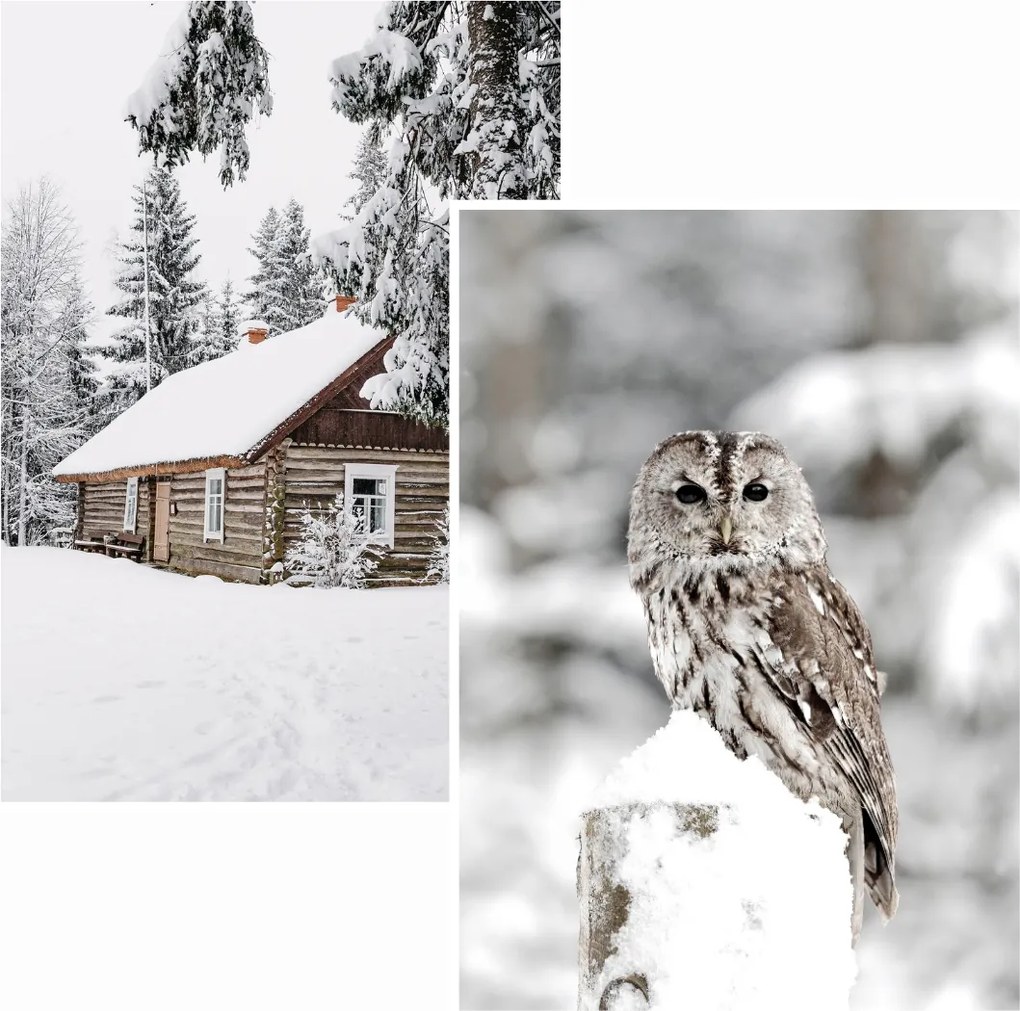 Poszterek 2db 50x70 Szett tél hangulat házikó az erdőben eviero bagoly a hóban