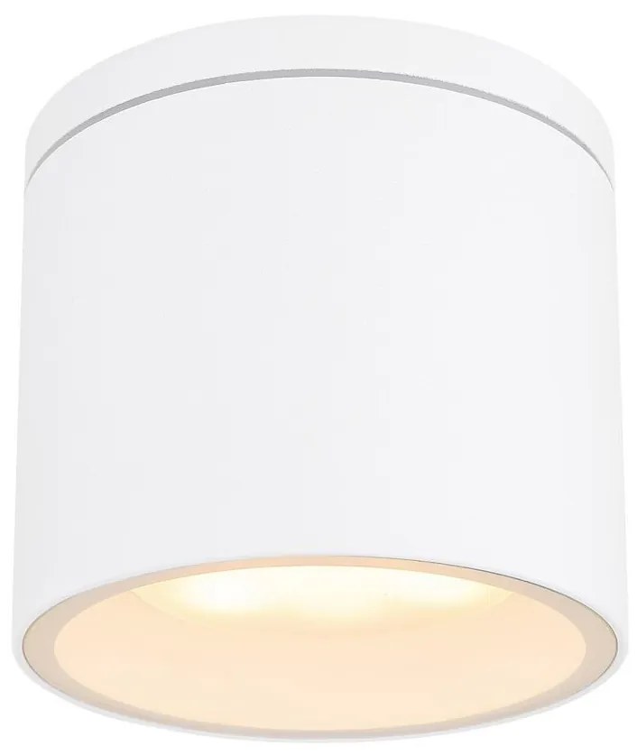 Globo 32063W - Kültéri mennyezeti lámpa ALCALA 1xGX53/11W/230V IP44