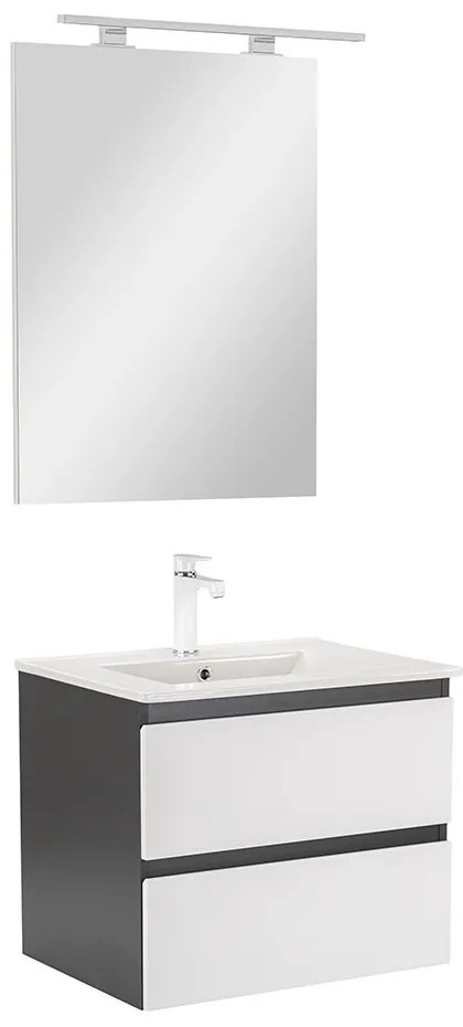 Vario Forte 60 komplett