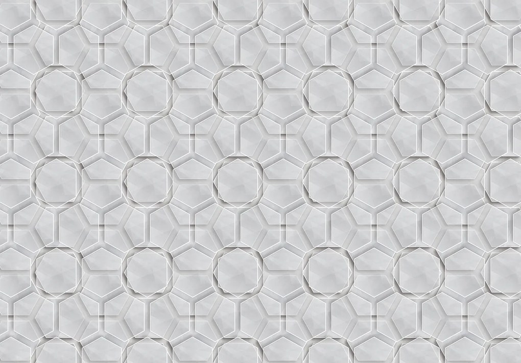 Fotótapéta Geometrikus szürke vinil minta 254x184 minimalizmus dísz +ragasztó