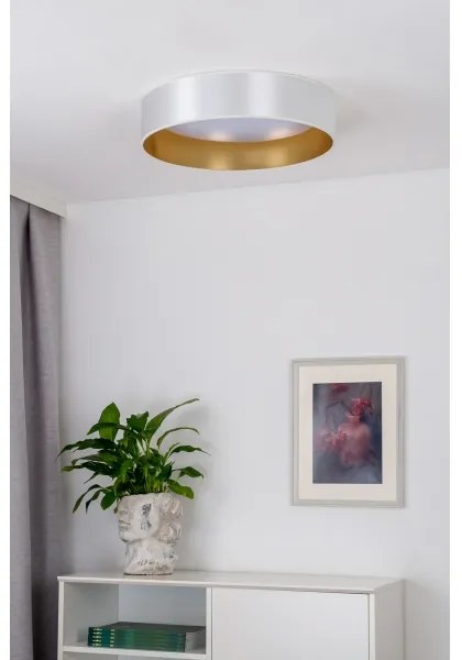 Duolla - LED Mennyezeti lámpa ROLLER LED/24W/230V átm. 45 cm ezüst/arany