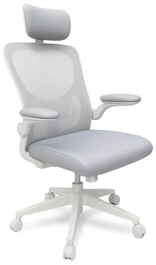 Flexo ergonomikus irodai forgószék deréktámasszal