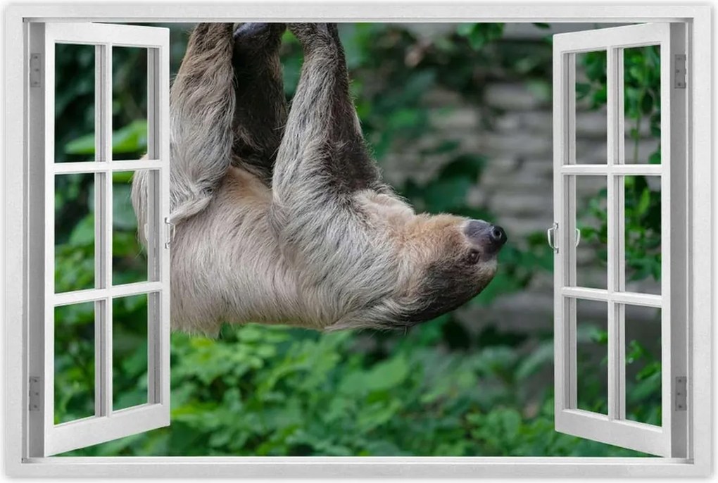 Poszterek 120x80 Lajhár lustaság közben