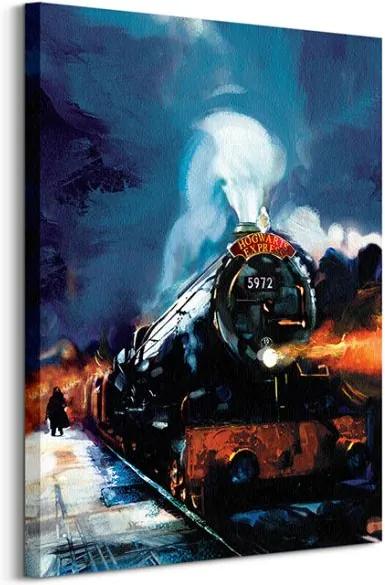 Vászonkép Harry Potter (Hogwarts Express) 60x80cm WDC99433