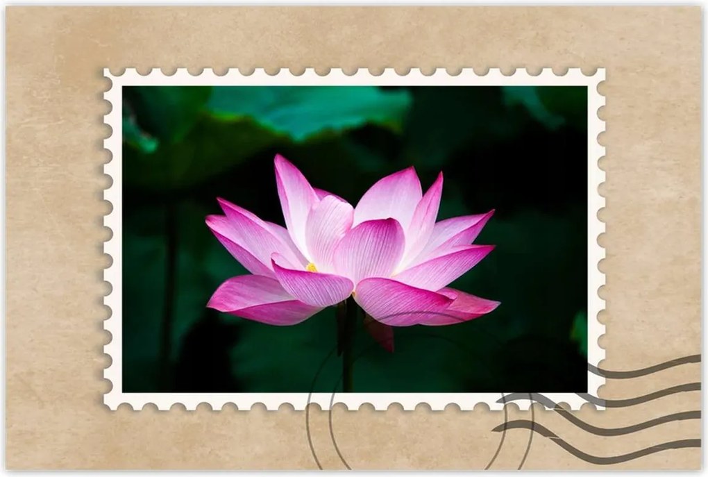 Poszterek 90x60 Lótuszvirág