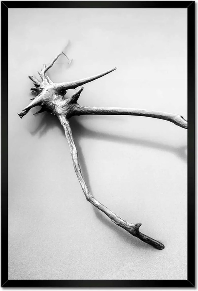 Poszterek keretben 40x60 Tenger Gyökér a tengerparton