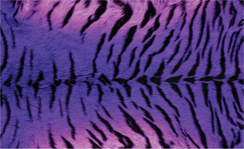 Fotótapéta Lila tigris vinil absztrakt 312x219 +ragasztó