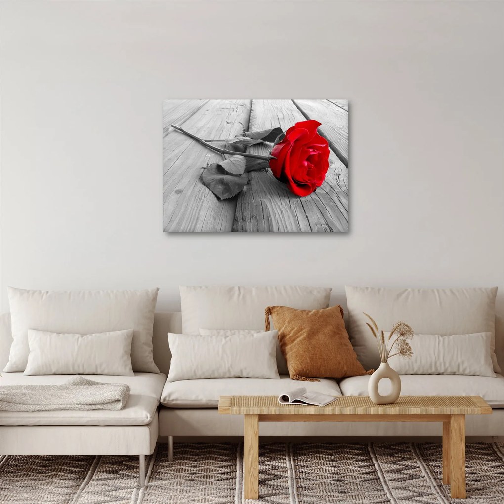 Egy vörös rózsa képe (70x50 cm)