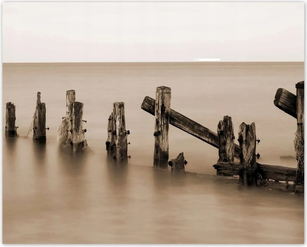 Poszterek 50x40 Hullámtörő fa