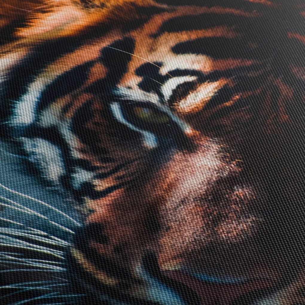 Egy fekvő tigris képe (90x60 cm)