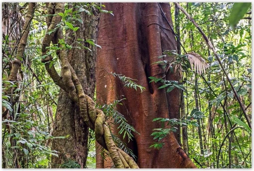 Poszterek 120x80 Tájkép Látvány