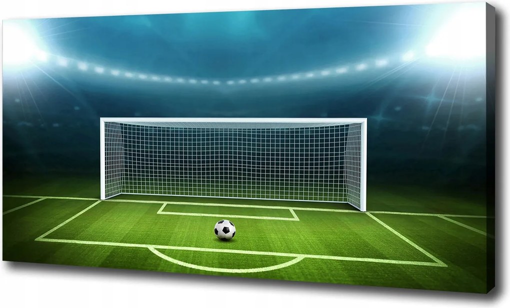 Canvas falikép Stadion 100x70 cm