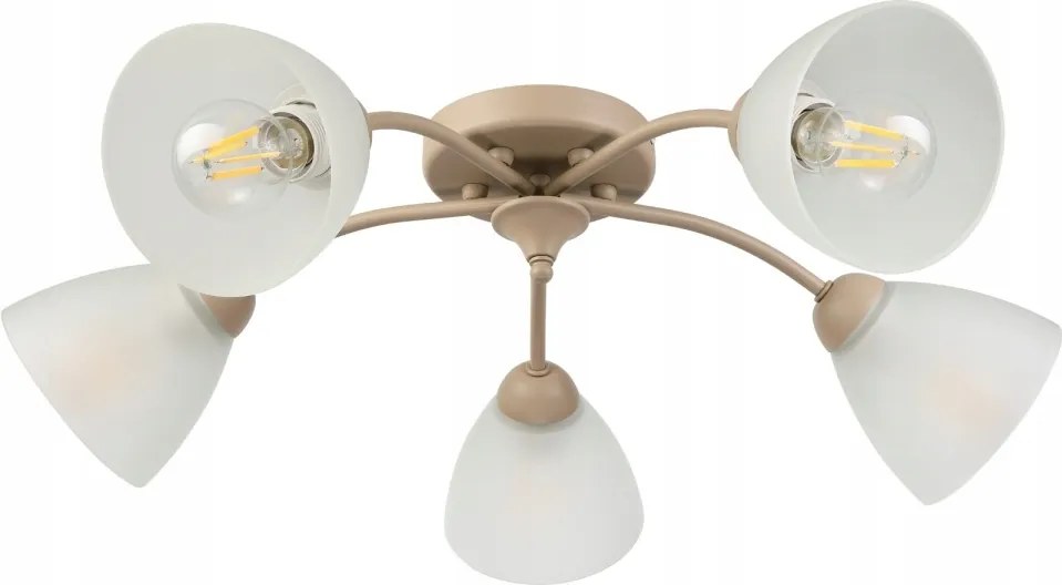 Lampa sufitowa Arco 5-punktowa Beżowa E27 transparentne klosze