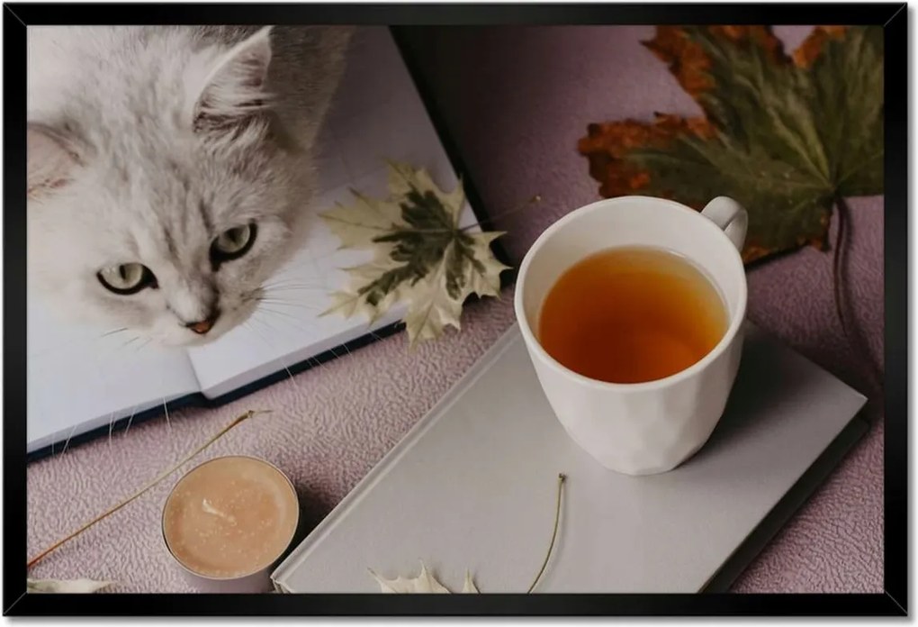 Poszterek keretben 60x40 Macska Cicák