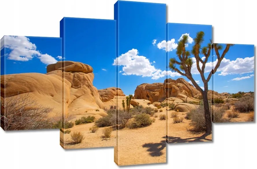 Vászonkép 120x80 Sivatagi táj